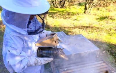 Cierre De 2025 Y Bienvenida A 2026 | Arkoni