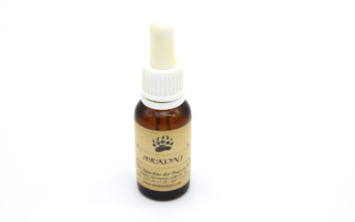 Tintura de Propóleo Natural: Fortalece tu salud.