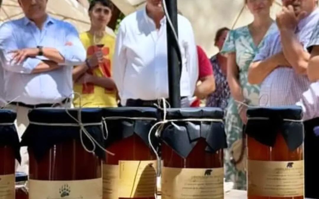 Apicultor por un día, Experiencias Ávila Auténtica