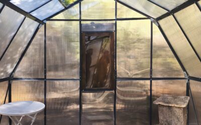 Otoño en Mieles Arkoni: el sosiego del campo y la calma de las abejas