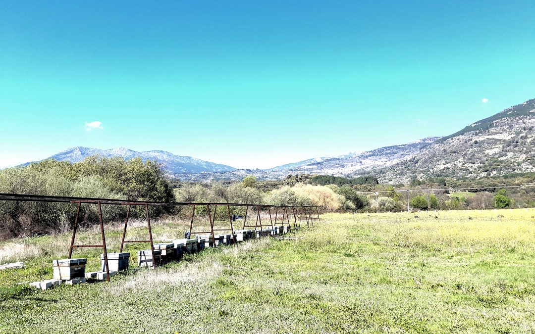 NACE EL SANTUARIO APÍCOLA ARKONI