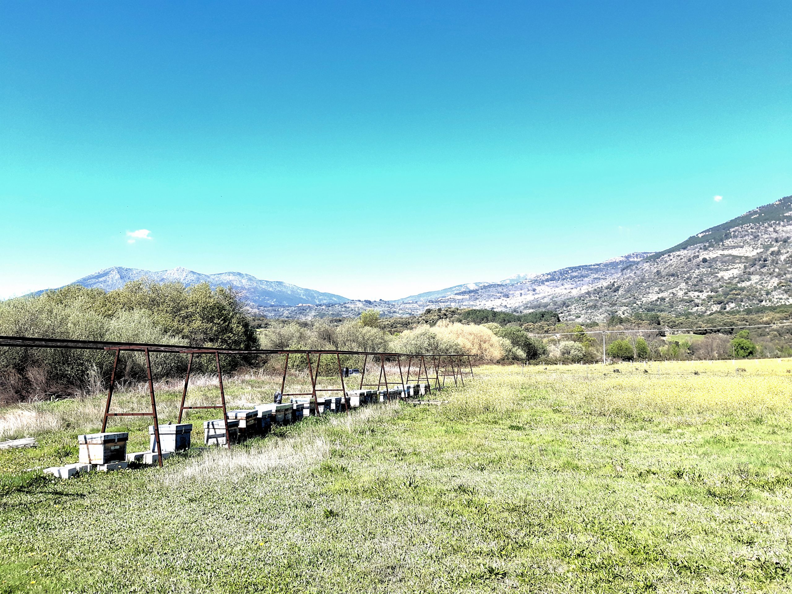 NACE EL SANTUARIO APÍCOLA ARKONI